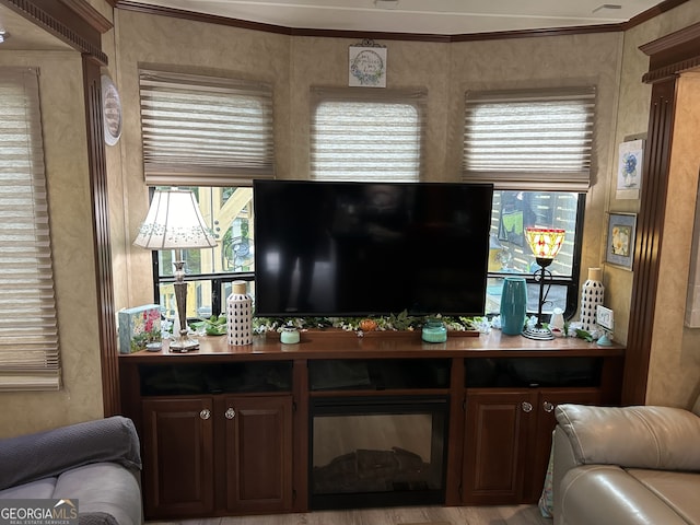 living room featuring crown molding, light hardwood / wood-style flooring, and a healthy amount of sunlight