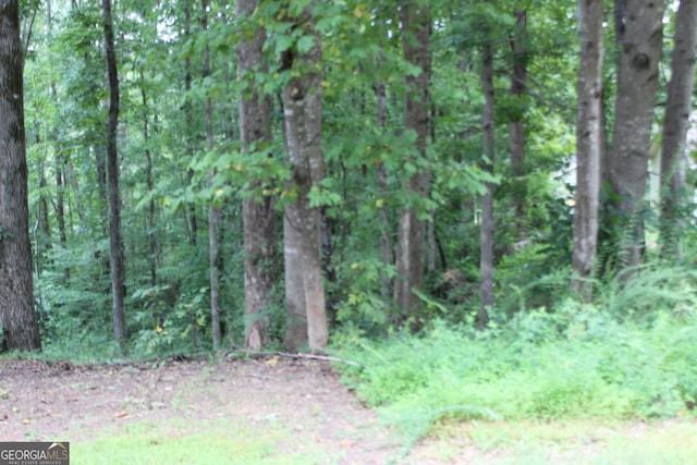 243 Lakeview Ter, Dallas, GA 30132