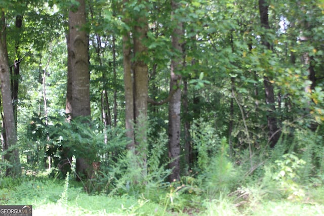 243 Lakeview Ter, Dallas, GA 30132