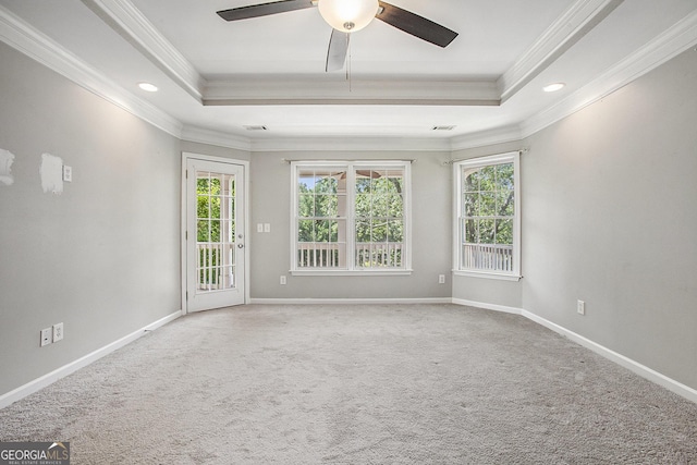 empty room with crown molding, carpet flooring, and a raised ceiling