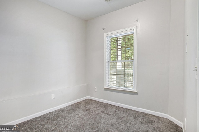 spare room with carpet floors