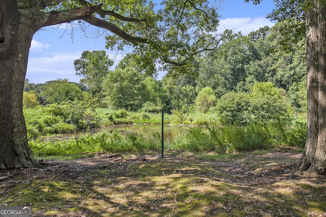 view of local wilderness featuring a water view