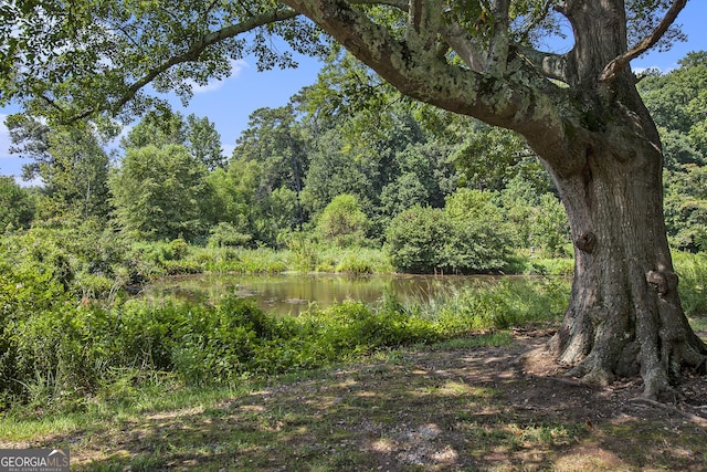 view of landscape with a water view