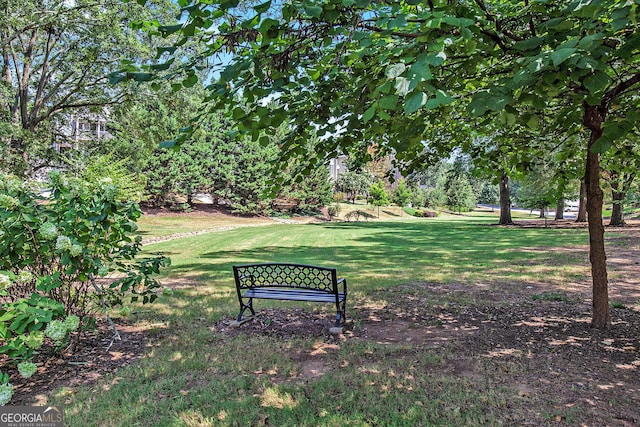 surrounding community featuring a lawn
