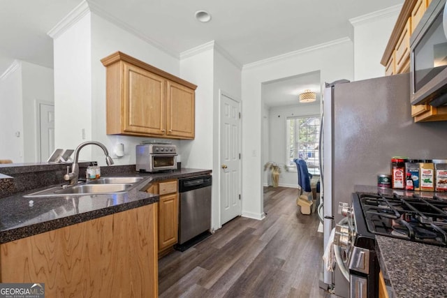 kitchen with sink, dark stone countertops, dark hardwood / wood-style floors, and stainless steel appliances