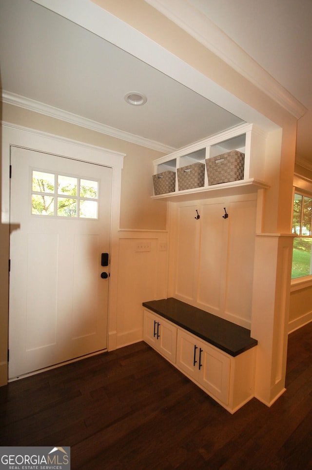 mudroom with crown molding and dark wood-type flooring