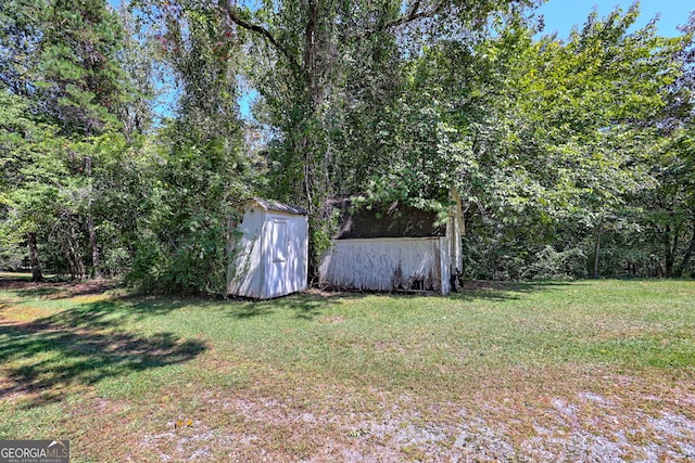 view of yard with a shed