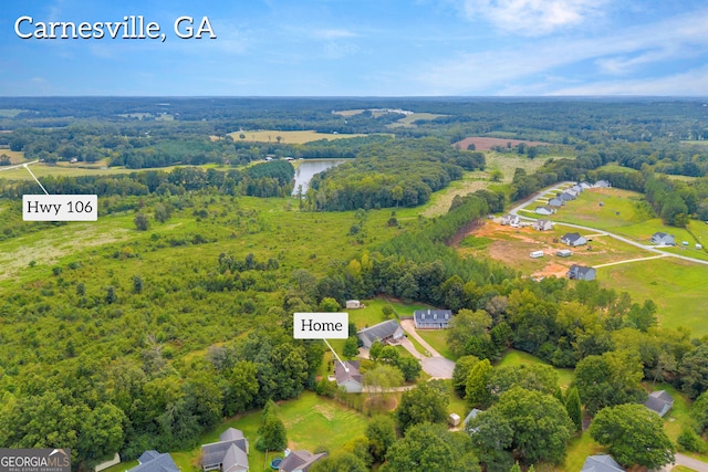 aerial view featuring a forest view