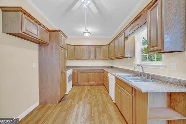 kitchen with light hardwood / wood-style floors, sink, crown molding, white appliances, and ceiling fan