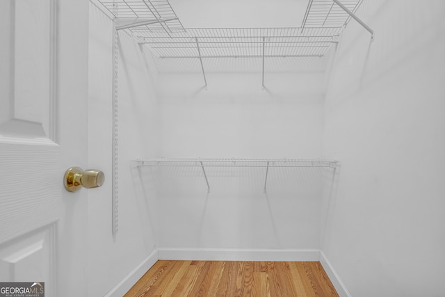 walk in closet with light wood finished floors