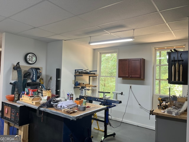 office featuring a wealth of natural light and a paneled ceiling