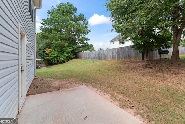 view of yard featuring a patio area