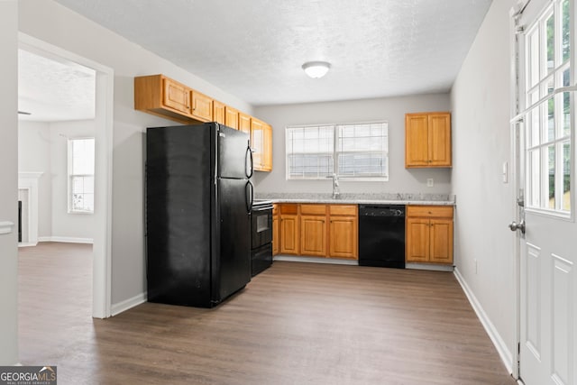 kitchen featuring light wood-type flooring, black appliances, and a healthy amount of sunlight