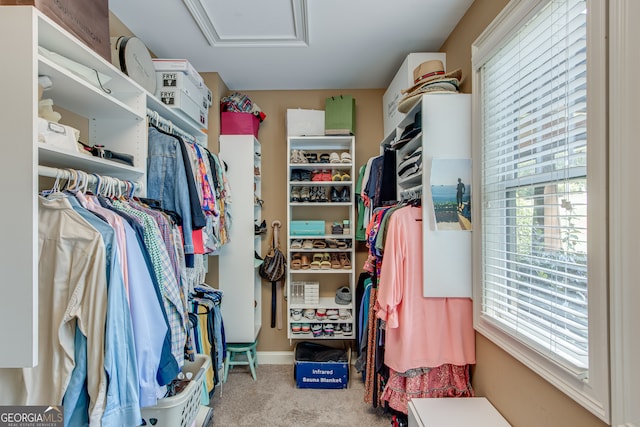 walk in closet with light colored carpet