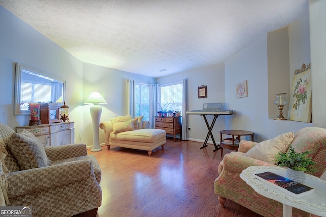 living room with a textured ceiling and wood-type flooring