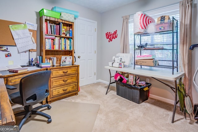 office space with light carpet