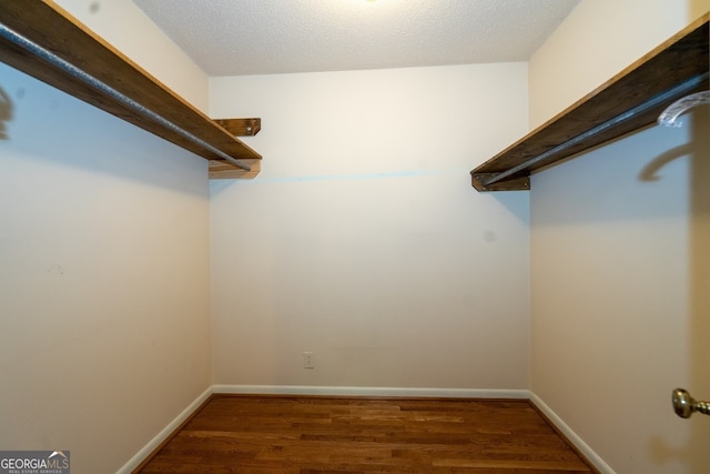 spacious closet featuring dark wood-type flooring