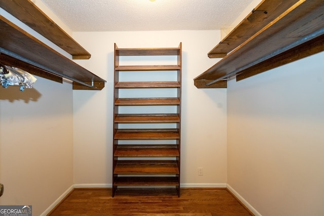 walk in closet with dark hardwood / wood-style flooring