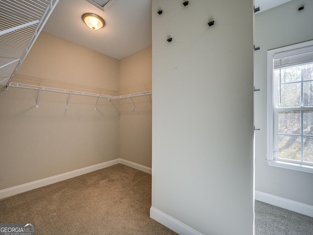 walk in closet featuring carpet floors