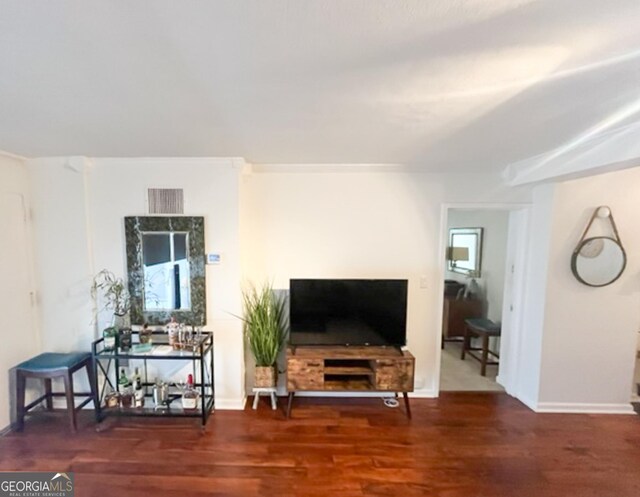 living room with wood-type flooring