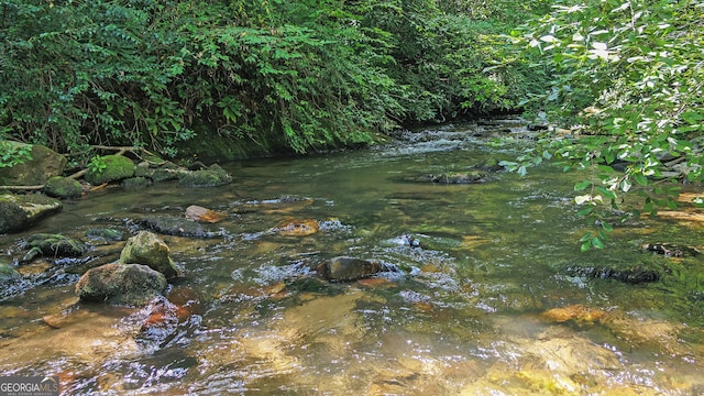 view of local wilderness