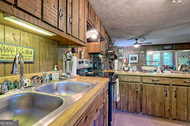 605 W Wildcat Rd, Clarkesville, GA 30523 - kitchen featuring stainless steel electric stove, a sink, under cabinet range hood, a ceiling fan, and wood walls