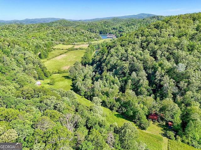 605 W Wildcat Rd, Clarkesville, GA 30523 - aerial view of property and surrounding area with a forest and a mountainous background