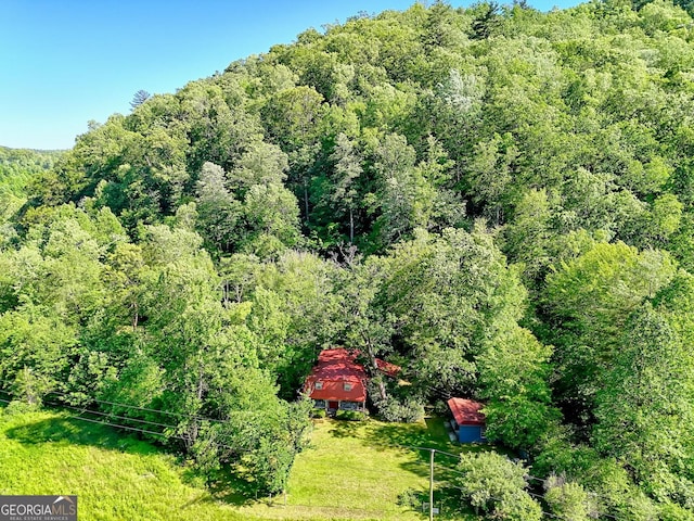 605 W Wildcat Rd, Clarkesville, GA 30523 - view from above of property featuring a forest