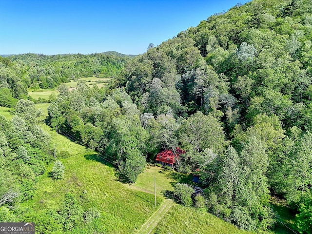 605 W Wildcat Rd, Clarkesville, GA 30523 - aerial view of property's location with a heavily wooded area