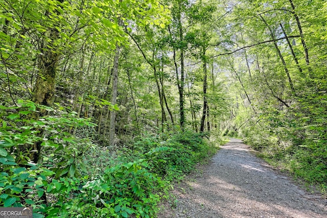 605 W Wildcat Rd, Clarkesville, GA 30523 - view of street with a forest view