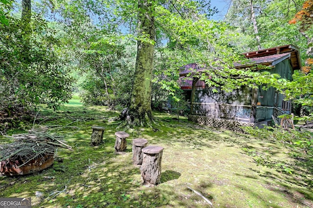 605 W Wildcat Rd, Clarkesville, GA 30523 - view of yard featuring a barn