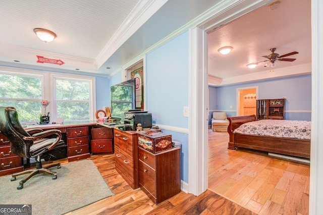 home office with light hardwood / wood-style floors, crown molding, ceiling fan, and a tray ceiling