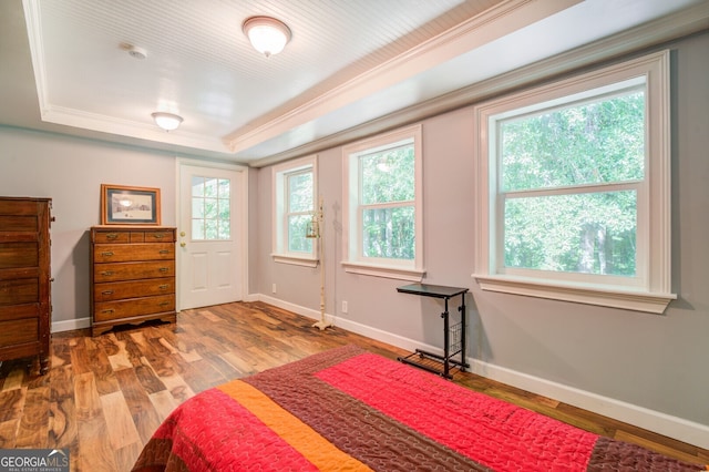 bedroom with a raised ceiling, crown molding, multiple windows, and wood-type flooring