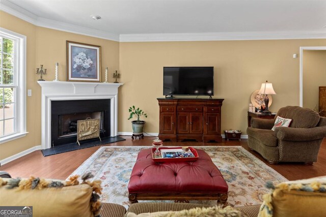 living room featuring hardwood / wood-style floors and ornamental molding