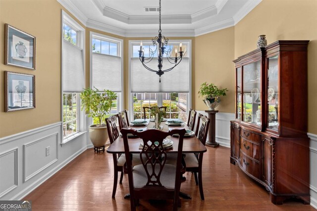 dining space with a raised ceiling, dark wood-type flooring, and plenty of natural light