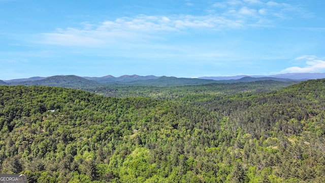 property view of mountains