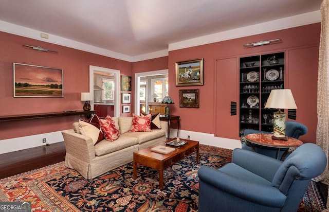 living room with wood-type flooring