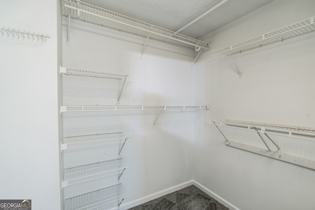 spacious closet featuring carpet flooring