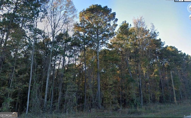 Listing photo 3 for 0 Sipka Rd, Locust Grove GA 30248