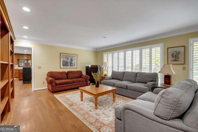 living room featuring crown molding and light hardwood / wood-style flooring