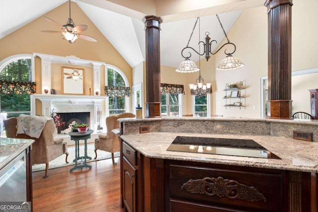 kitchen featuring a wealth of natural light, wood-type flooring, and a premium fireplace