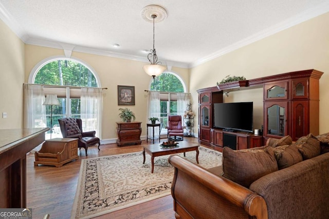 living room with a textured ceiling, dark wood-type flooring, and ornamental molding