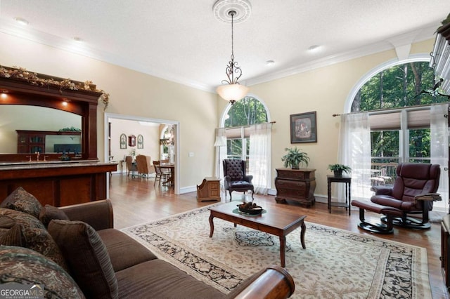 living room featuring a textured ceiling, hardwood / wood-style floors, and ornamental molding