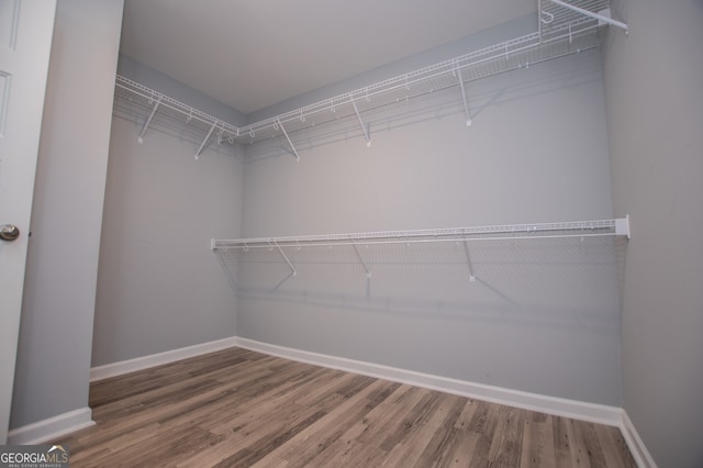 spacious closet with hardwood / wood-style floors