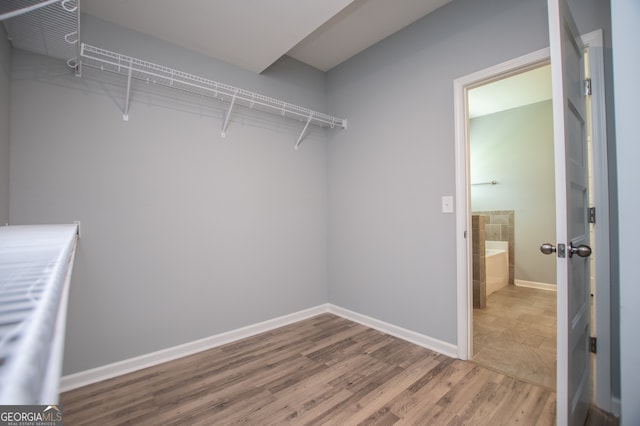 walk in closet with wood-type flooring