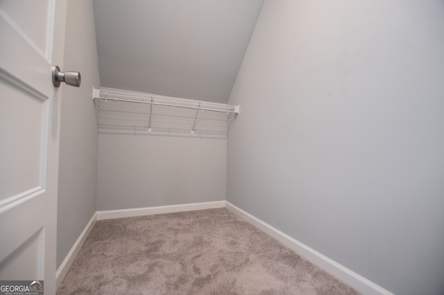 walk in closet featuring carpet floors