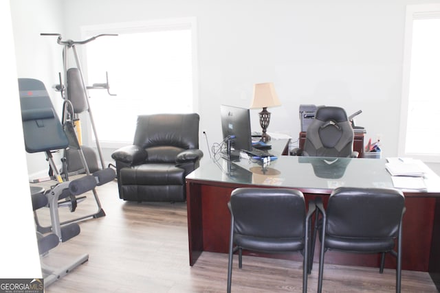 office space featuring a healthy amount of sunlight and light hardwood / wood-style floors