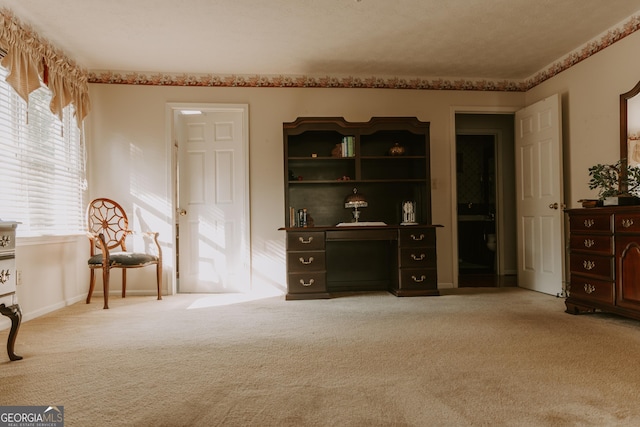 sitting room featuring carpet