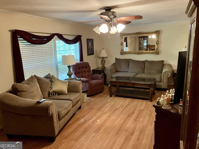 living room with ceiling fan, crown molding, and light hardwood / wood-style flooring