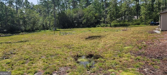 1367 Low Ground Rd, Guyton GA, 31312 land for sale